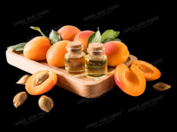 Buy Pure Apricot Kernel Oil Online in Dubai - Jamal Agrifarm