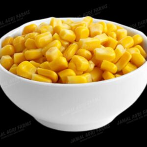 Corn / Maize